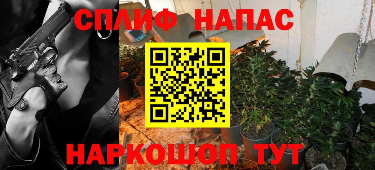 Конопля гибрид Партизанск